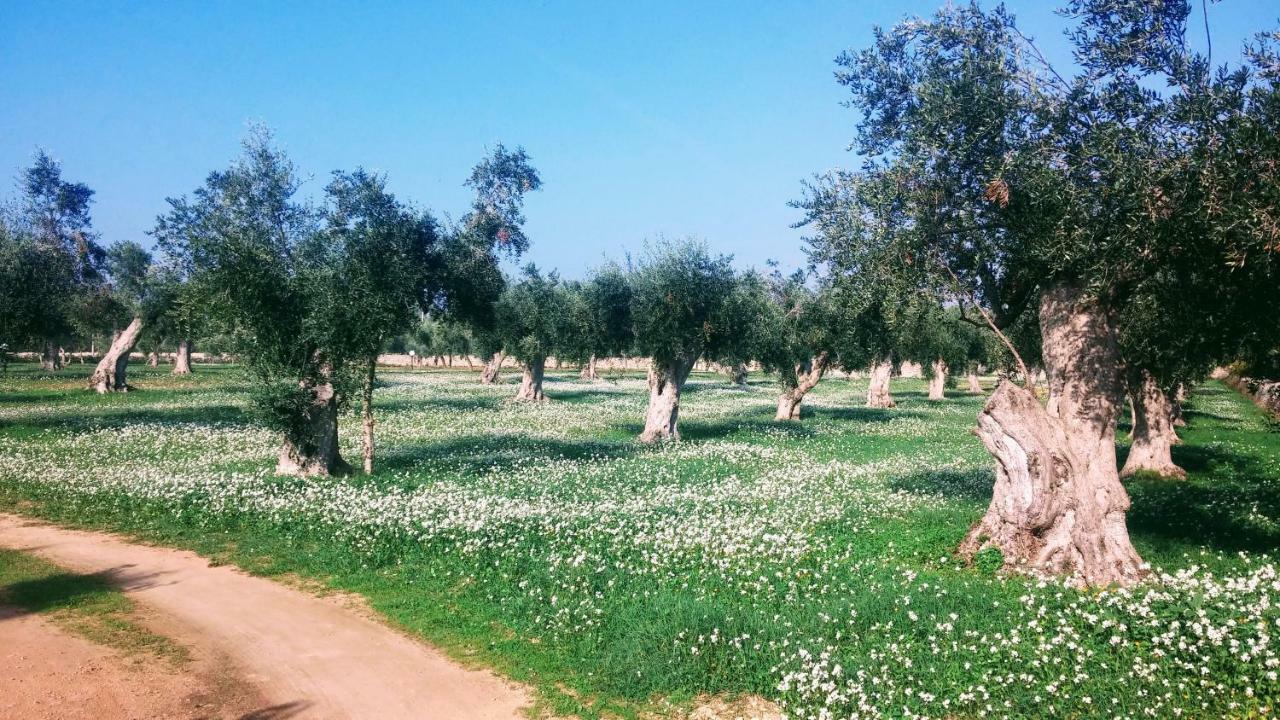 Masseria Cataldo Corigliano d'Otranto Exterior photo